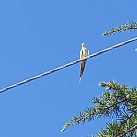 Acquachiara Дом отдыха Монополи