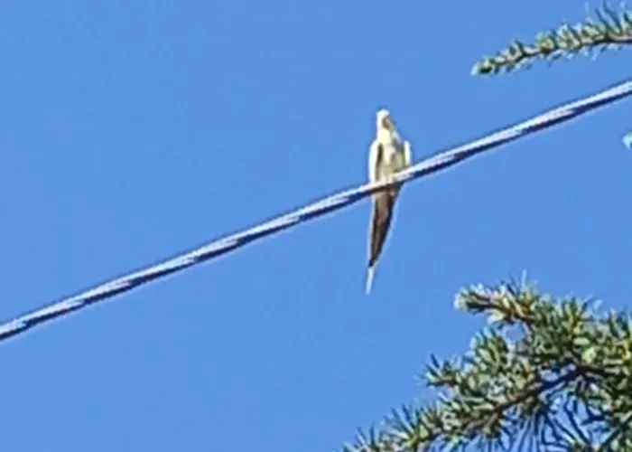 Acquachiara Casa vacanze Monopoli